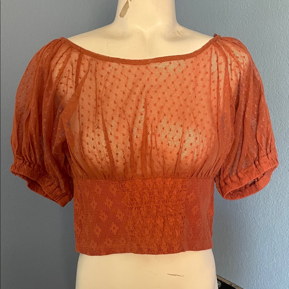 Free People Burnt Orange Sheer Blouse